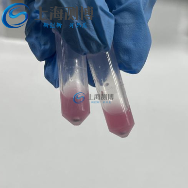 冷凍研磨儀助力動物睪丸組織蛋白、DNA 及 RNA 高效提取實驗案例