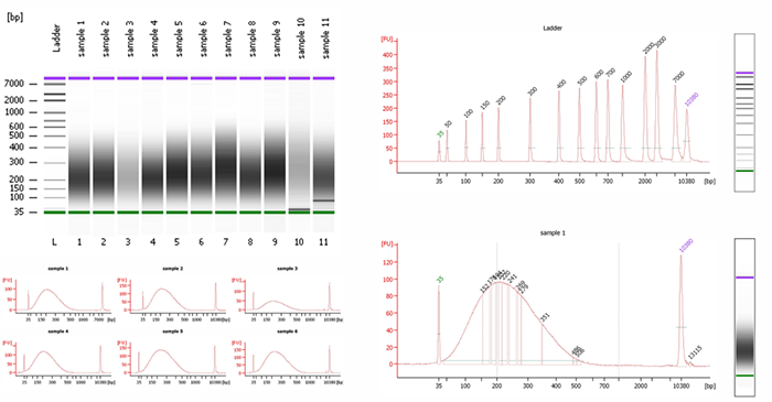 701879408100 701879408100