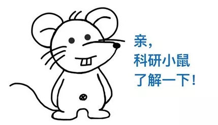 實(shí)驗(yàn)鼠 實(shí)驗(yàn)鼠