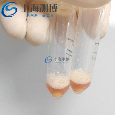 小鼠研磨后-logo 小鼠研磨后-logo