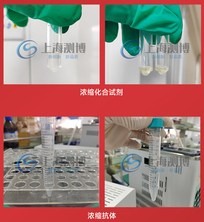 CBNSY-真空離心濃縮儀-測博_11 CBNSY-真空離心濃縮儀-測博_11