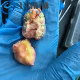 實(shí)驗(yàn)人員在研磨番茄時(shí)采用冷凍研磨儀效果如何？能成功嗎？