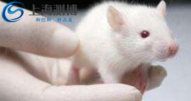 采用全自動冷凍研磨儀研究DNA損傷應激發(fā)應、衰老以及腫瘤發(fā)生