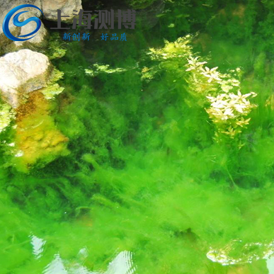 冷凍組織研磨儀能做哪些實驗？葉綠素藻類是什么？